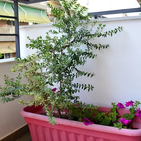 Διαμέρισμα Cosy 1 Close To The City Center *